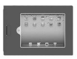 Apple iPad Security & Display Device